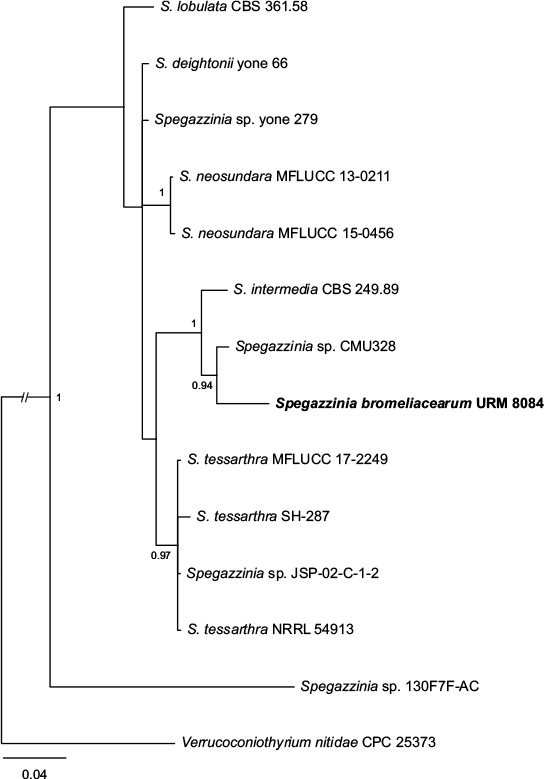 graphic file with name per-42-291-i033.jpg