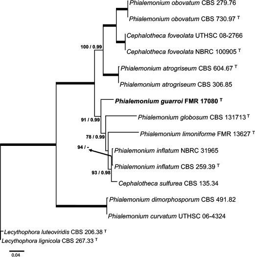 graphic file with name per-42-291-i028.jpg