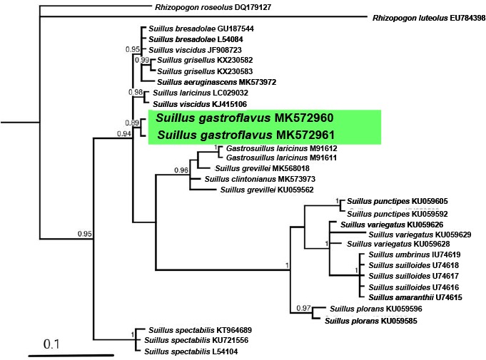 graphic file with name per-42-291-i035.jpg