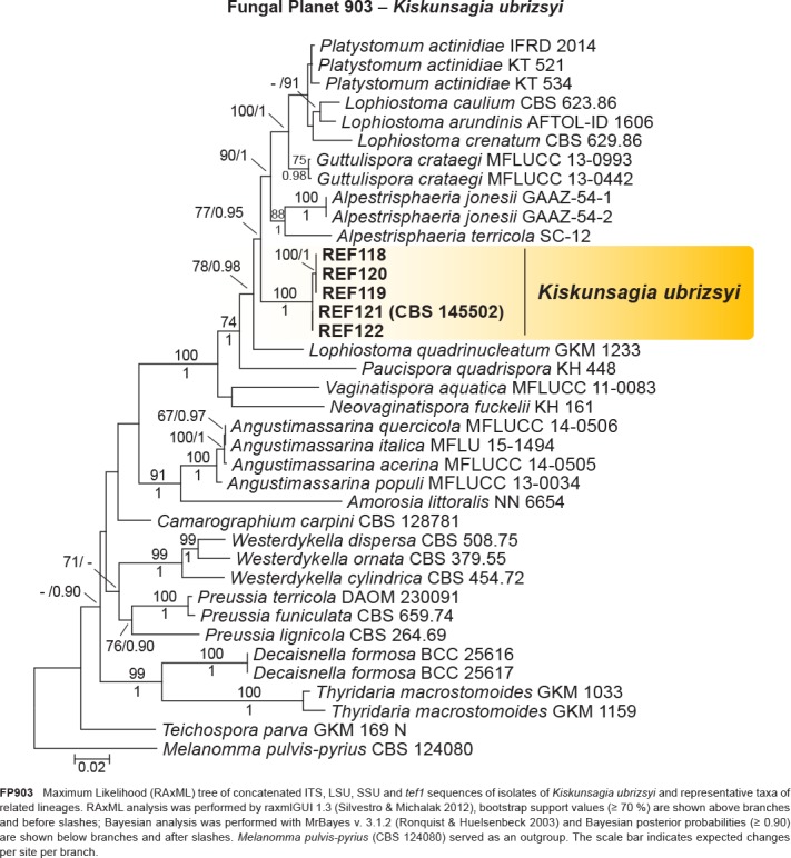 graphic file with name per-42-291-s002.jpg