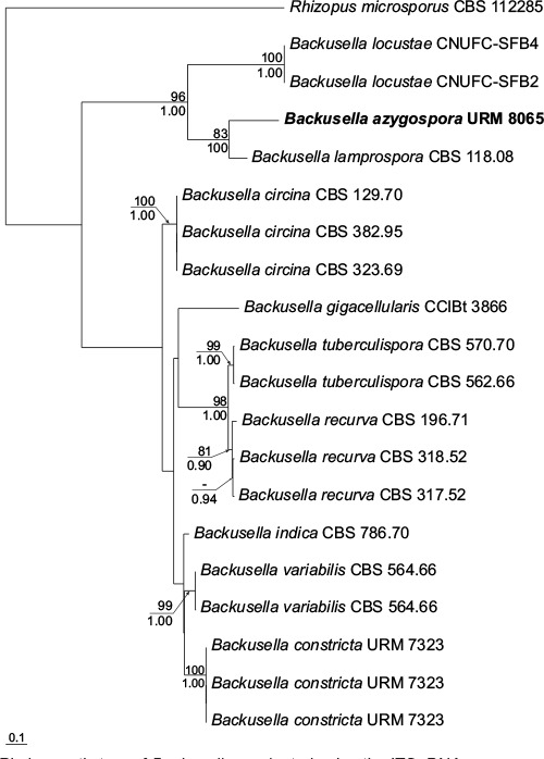 graphic file with name per-42-291-i006.jpg