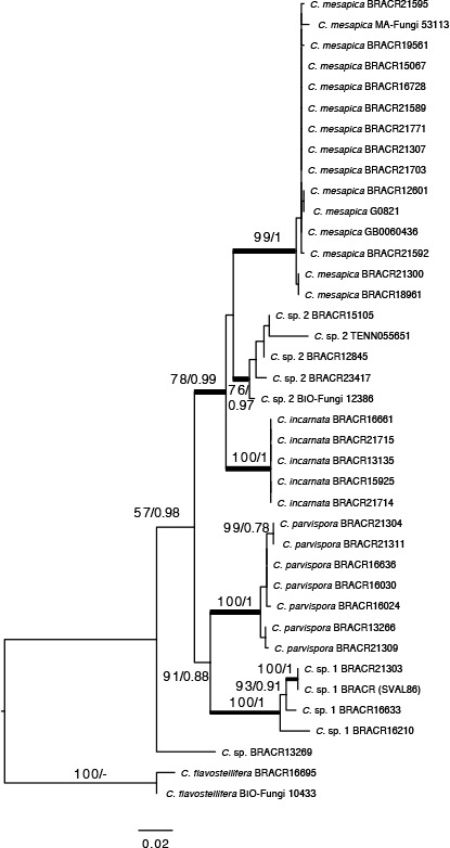 graphic file with name per-42-291-i011.jpg