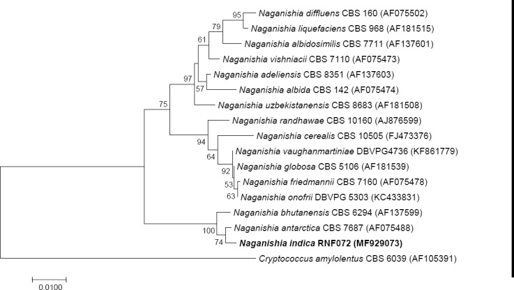 graphic file with name per-42-291-i022.jpg