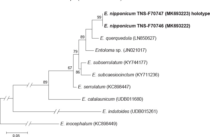 graphic file with name per-42-291-i015.jpg