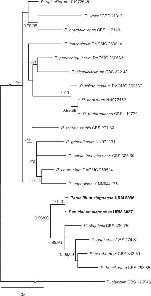 graphic file with name per-42-291-i026.jpg