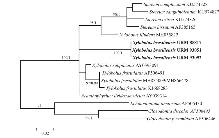 graphic file with name per-42-291-i037.jpg