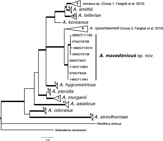 graphic file with name per-42-291-i003.jpg