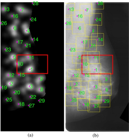 Fig. 2