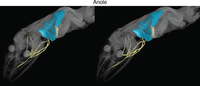 Figure 1—figure supplement 7.