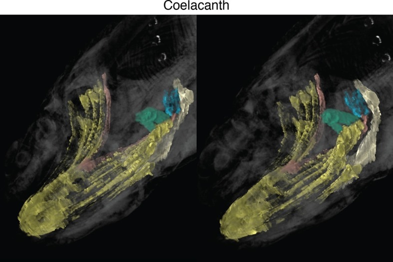 Figure 1—figure supplement 4.