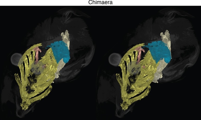 Figure 1—figure supplement 1.