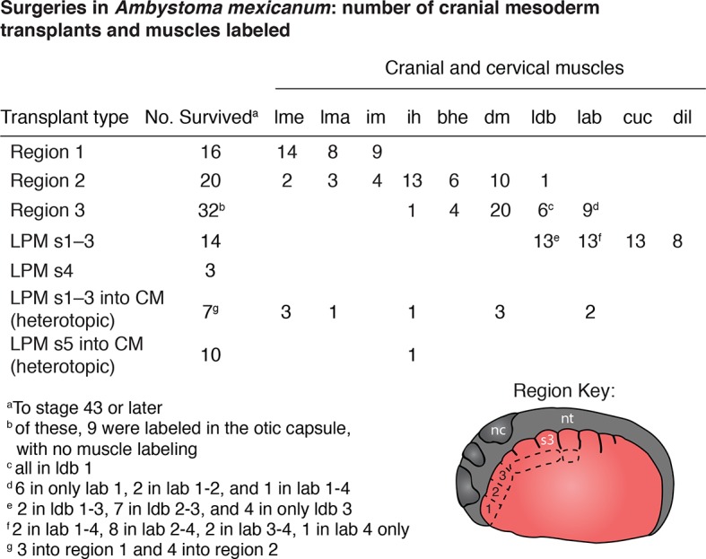 Figure 2—figure supplement 3.