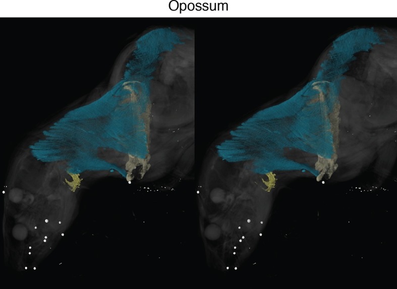 Figure 1—figure supplement 8.