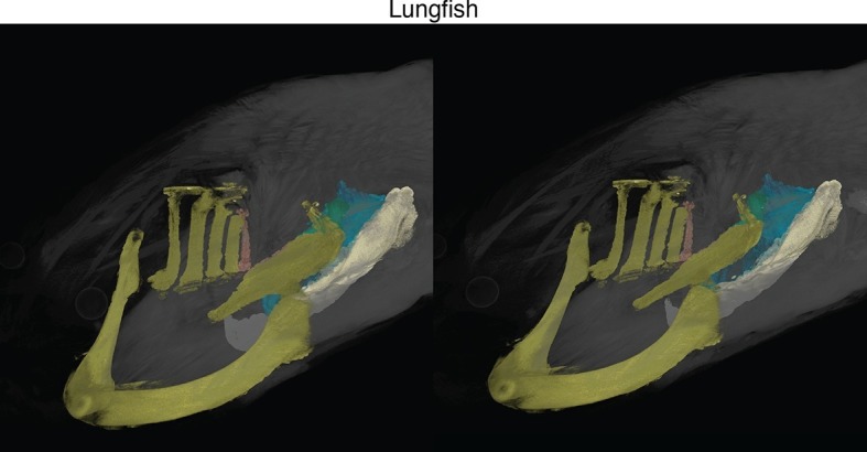 Figure 1—figure supplement 3.