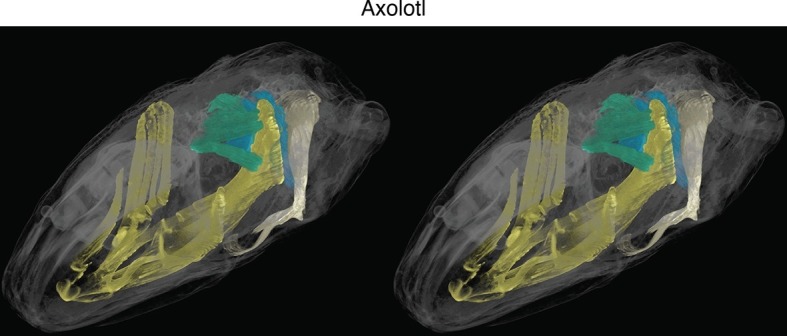 Figure 1—figure supplement 5.