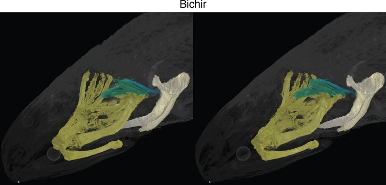 Figure 1—figure supplement 2.