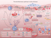 Graphical Abstract