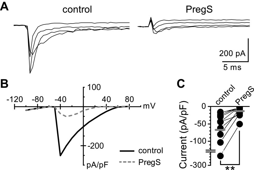 Figure 5.