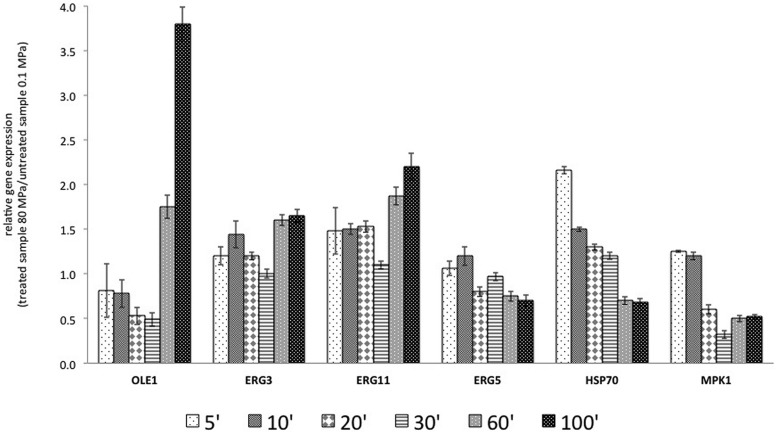 FIGURE 4