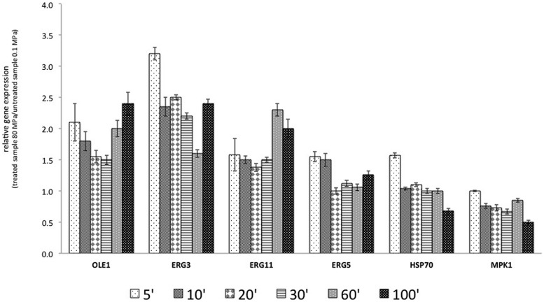 FIGURE 3