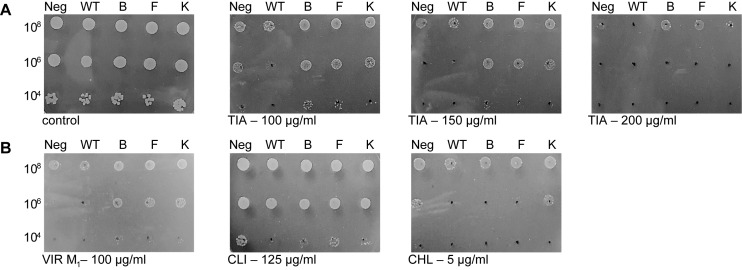 Figure 2.