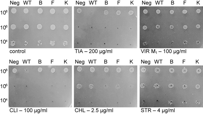 Figure 4.