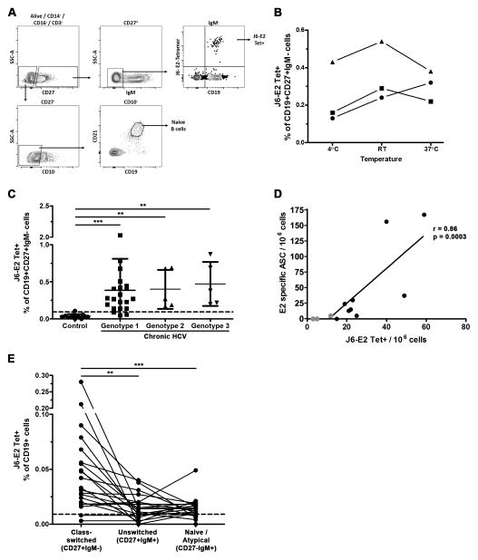 FIGURE 3