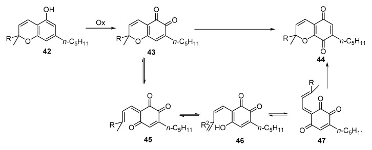 Scheme 5