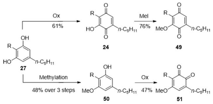 Scheme 6