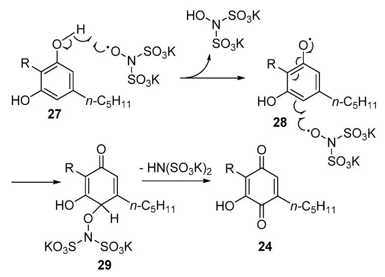 Scheme 2