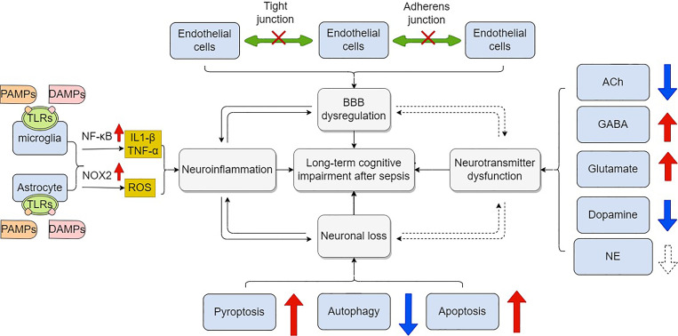 Figure 3