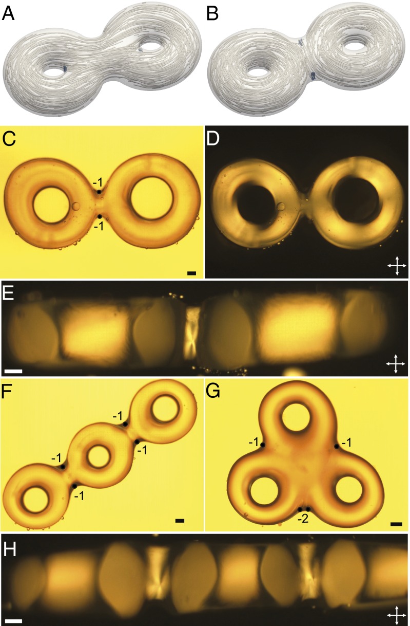 Fig. 5.