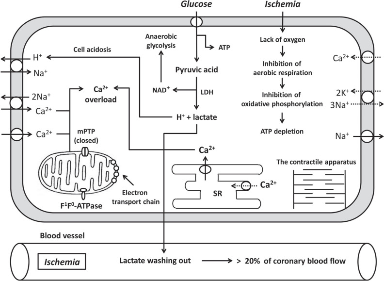 Fig. (1)