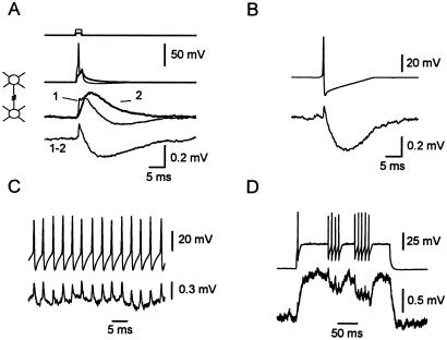 Fig 3.