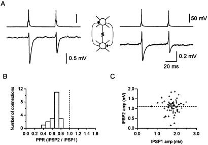 Fig 6.