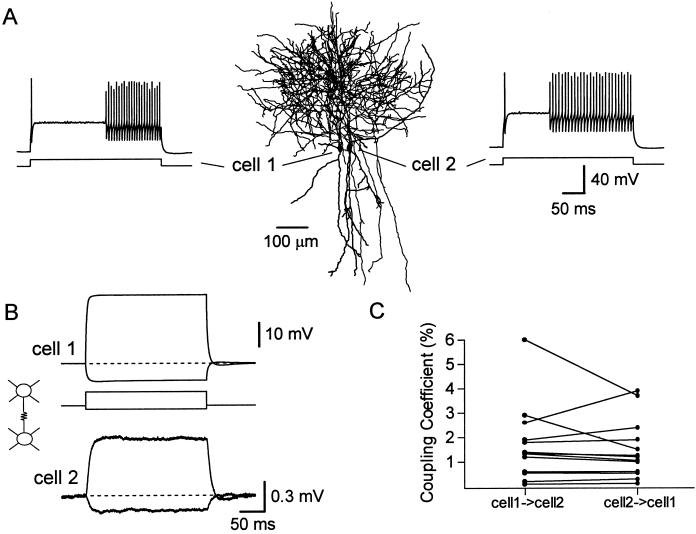 Fig 2.