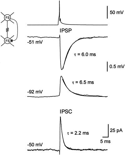 Fig 4.