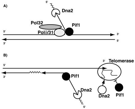 FIG. 7.