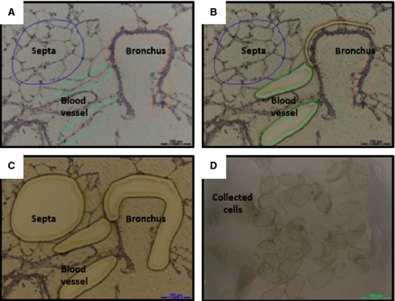 Fig. 16