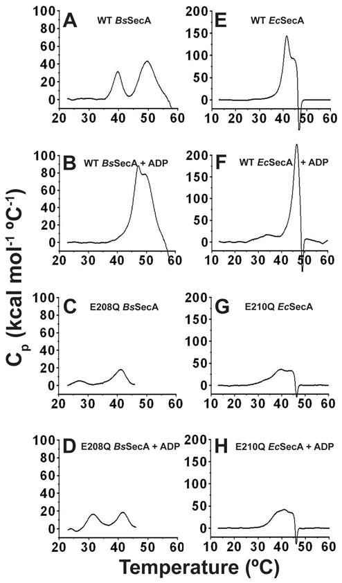 Fig 7