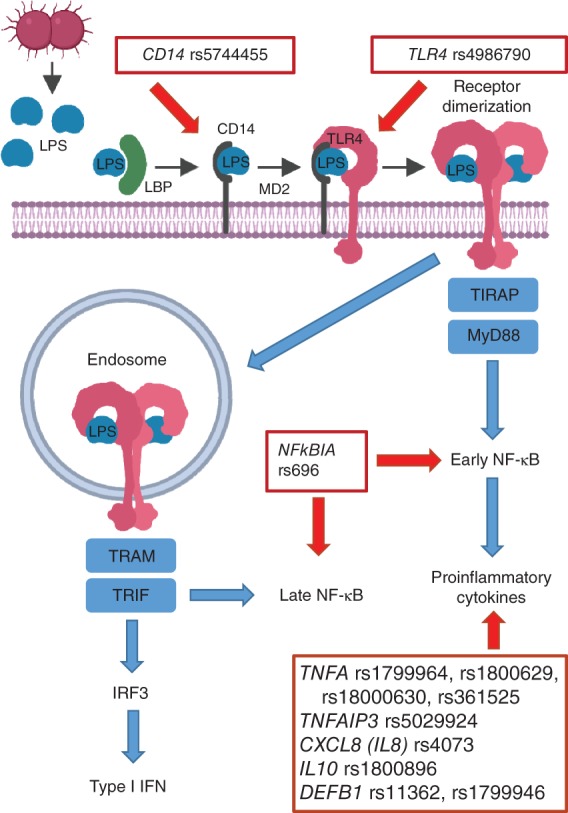 BJS5-50231-FIG-0002-c