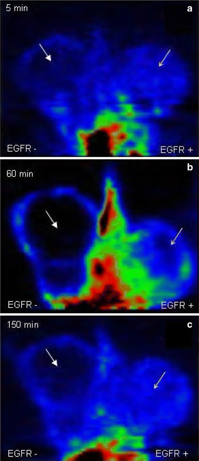 Fig. 4