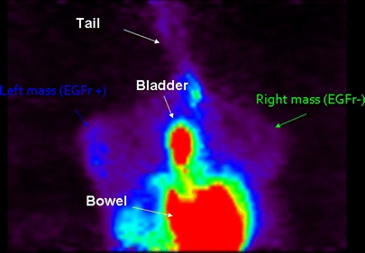 Fig. 3