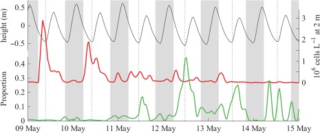 Figure 6