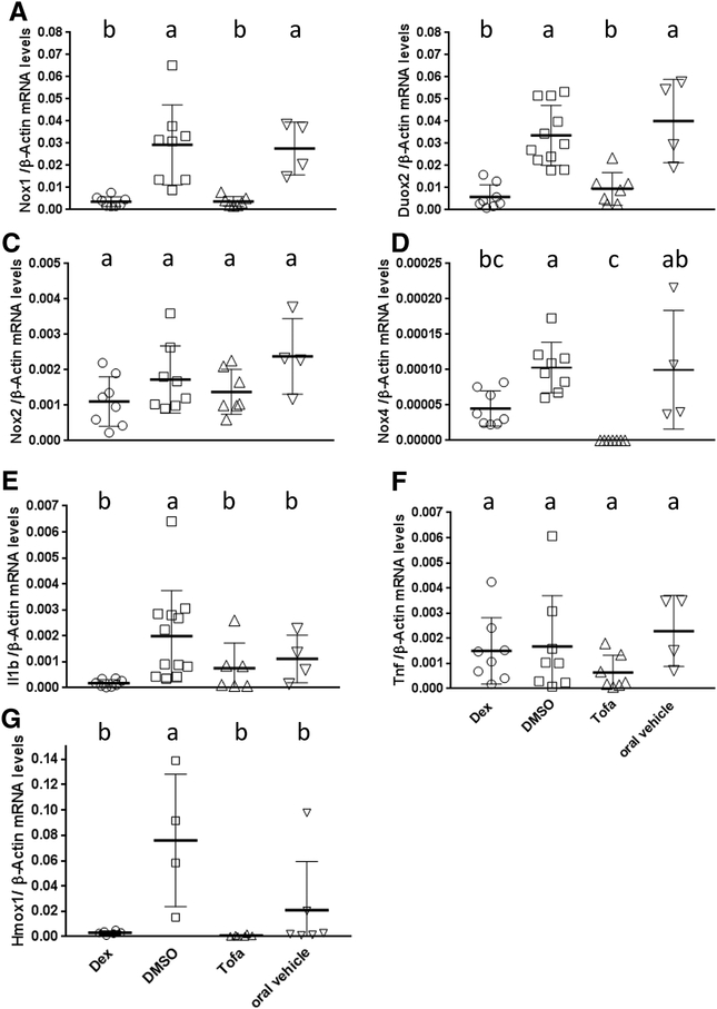 Figure 5: