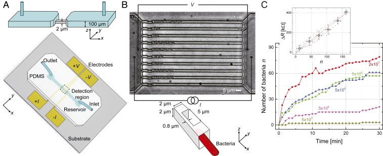 Fig. 1.