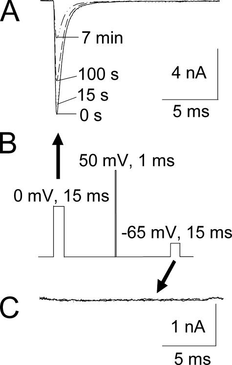 FIGURE 11.