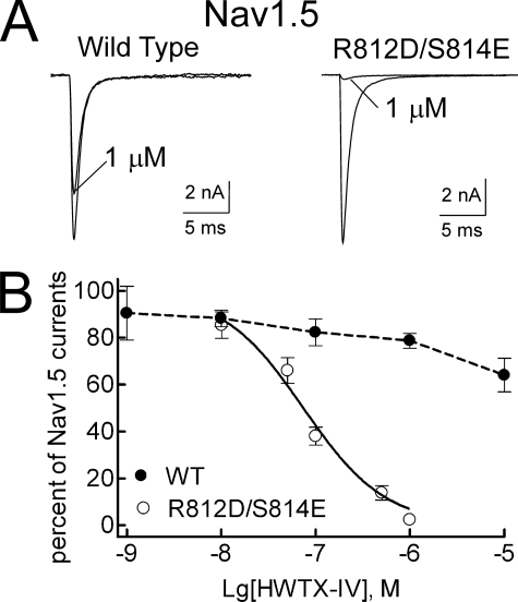 FIGURE 10.