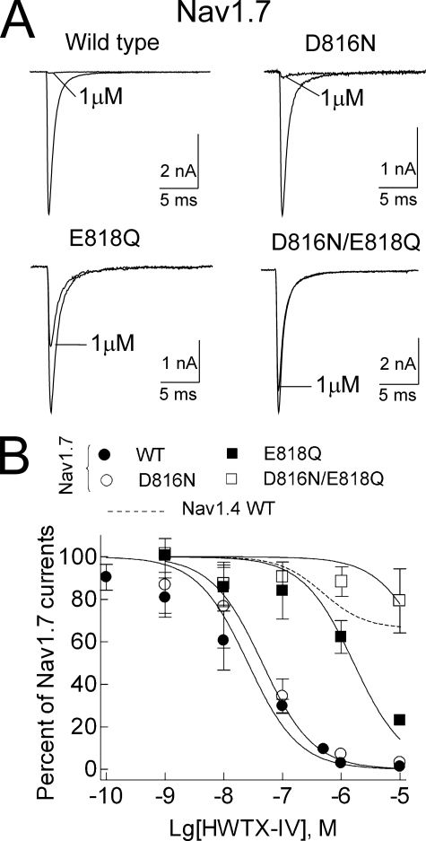 FIGURE 9.