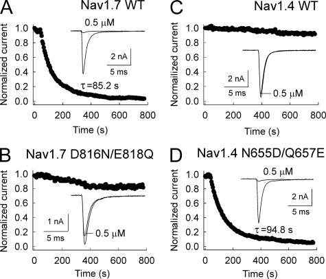 FIGURE 12.